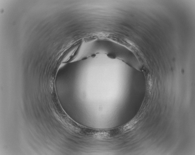 X0000053090168200508081320