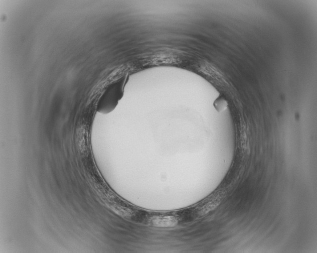 X0000053090169200508081320