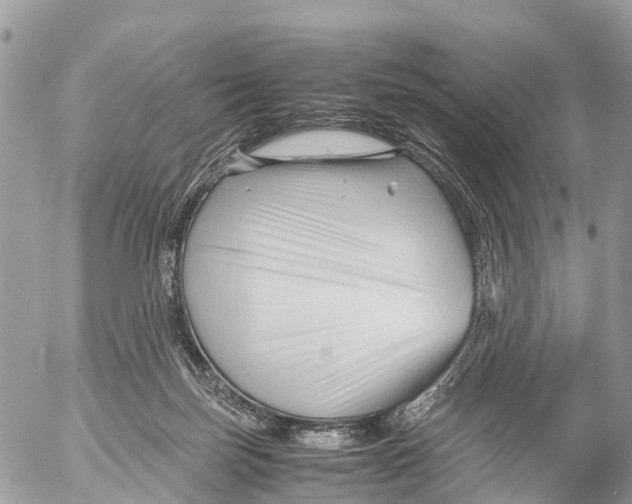 X0000053090171200508081320