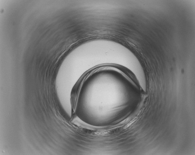 X0000053090172200508081320