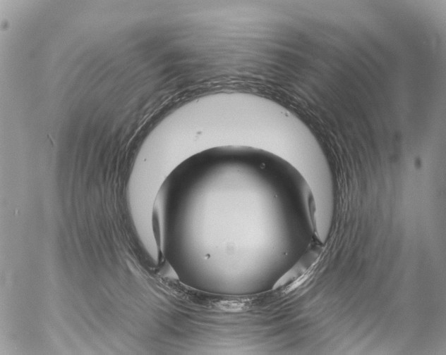 X0000053090176200508081320