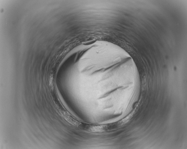 X0000053090178200508081320