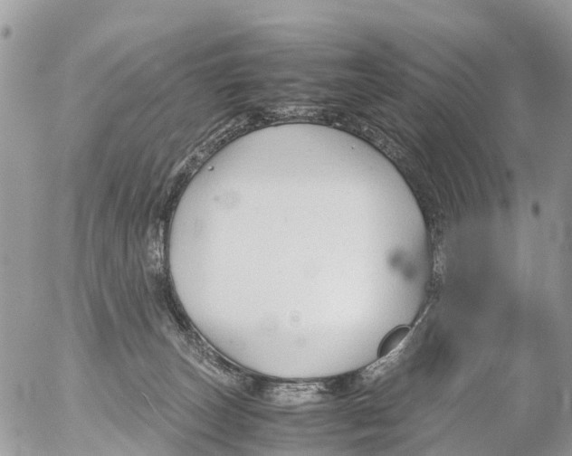 X0000053090179200508081320