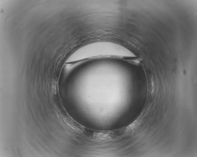 X0000053090180200508081320