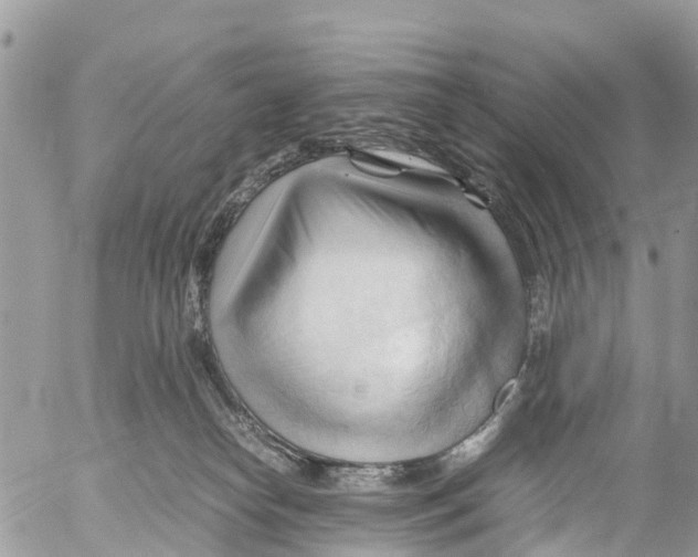 X0000053090182200508081320