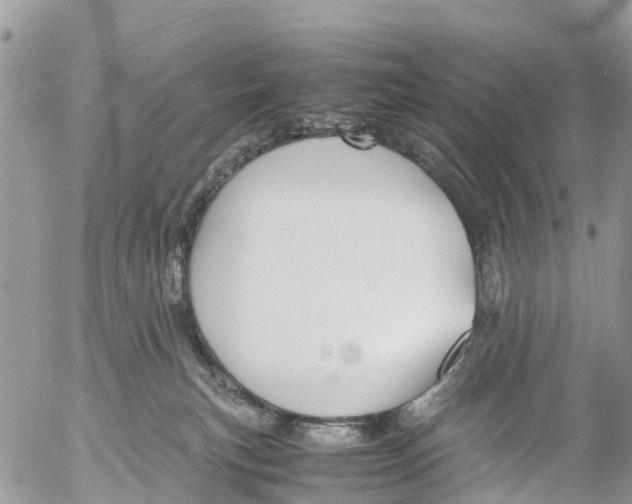 X0000053090183200508081320