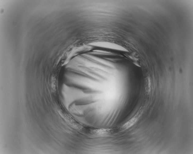 X0000053090184200508081320