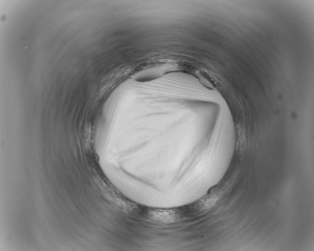 X0000053090189200508081320