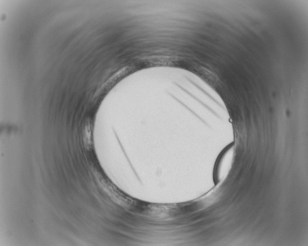 X0000053090190200508081320