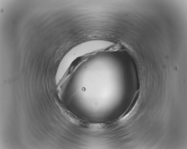 X0000053090192200508081320