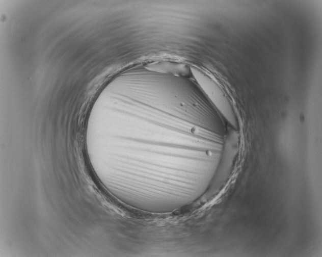 X0000053090193200508081319