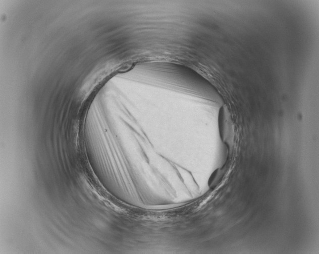 X0000053090194200508081319