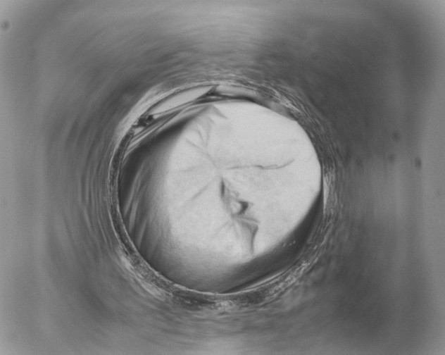 X0000053090195200508081319