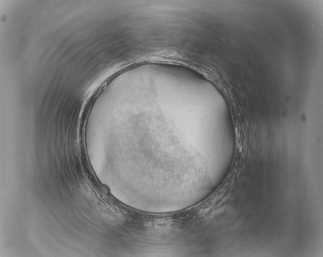 X0000053090196200508081319