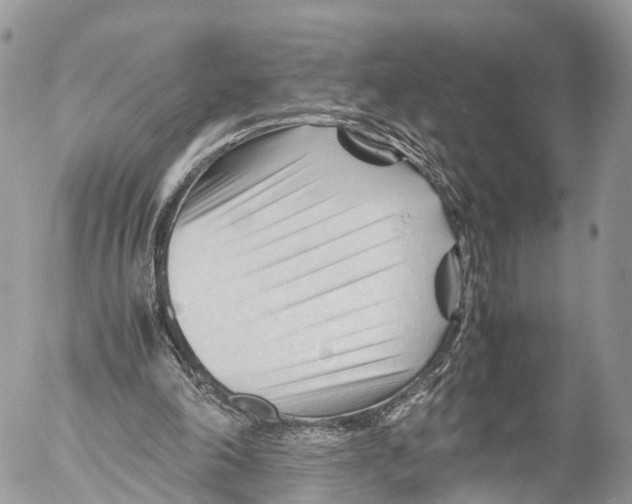 X0000053090198200508081319