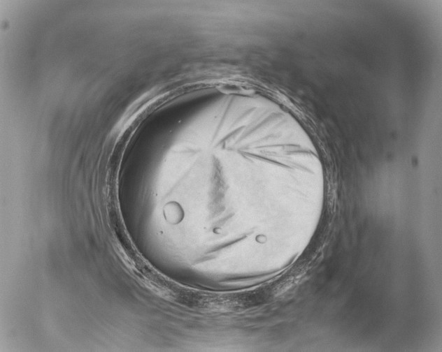 X0000053090199200508081319