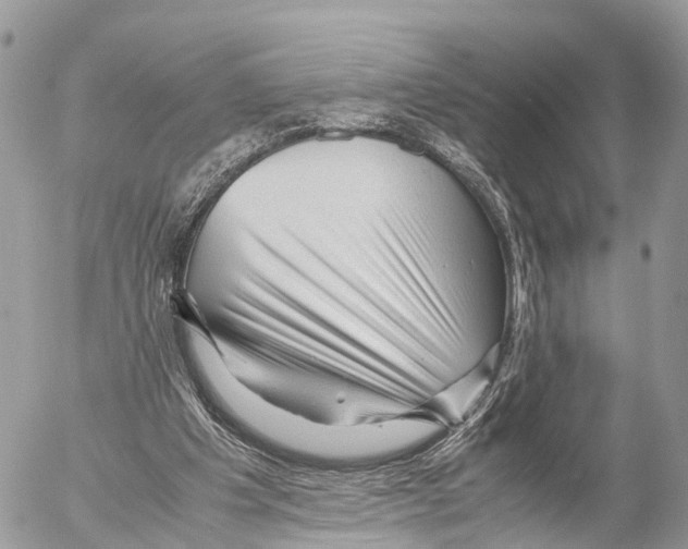 X0000053090201200508081319