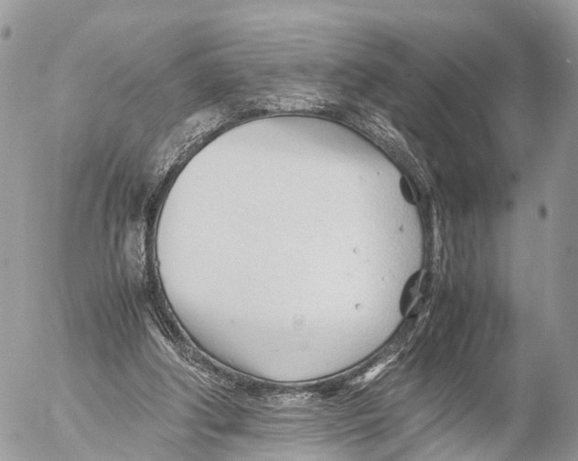 X0000053090202200508081319