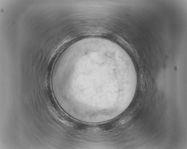 X0000053090203200508081319