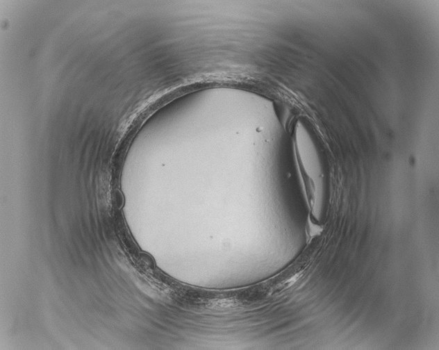 X0000053090204200508081319