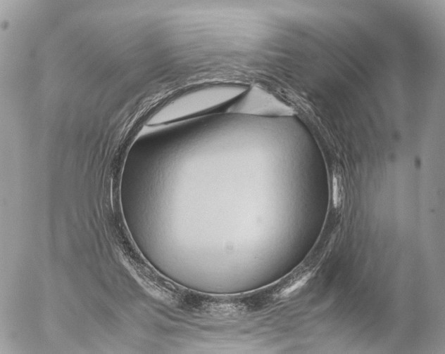 X0000053090205200508081319