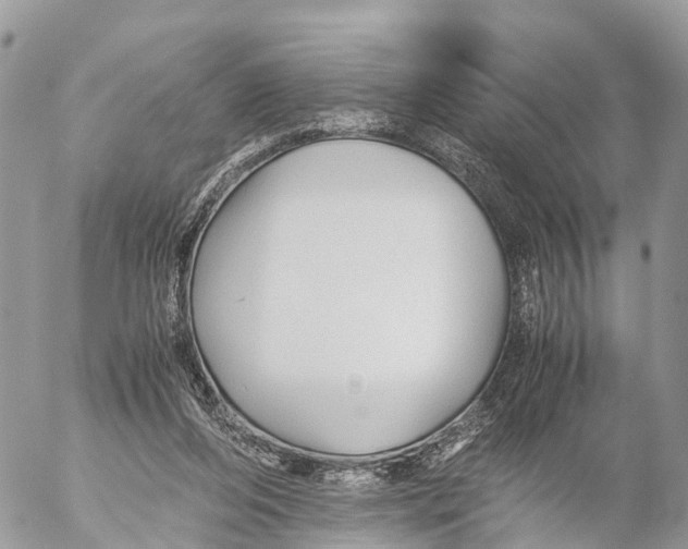 X0000053090208200508081319