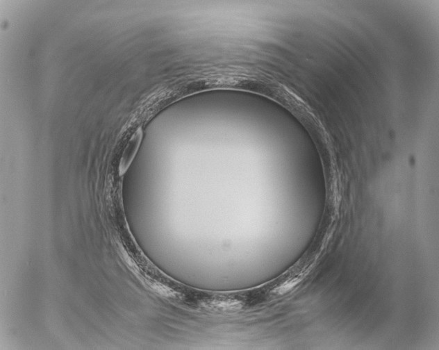 X0000053090209200508081319