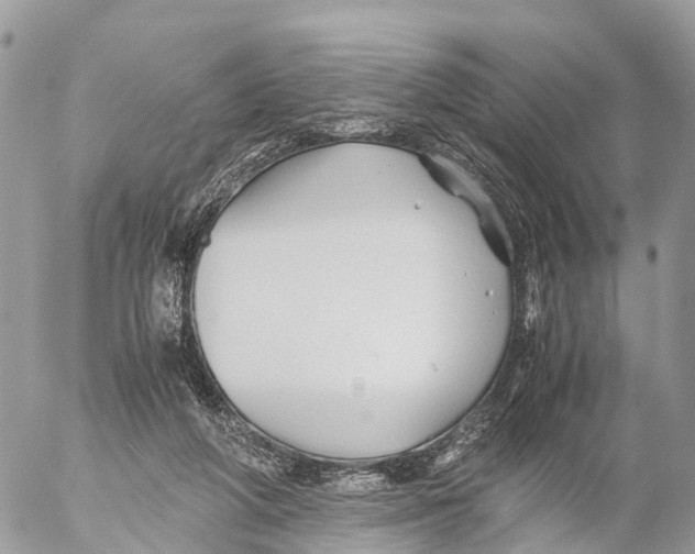 X0000053090210200508081319