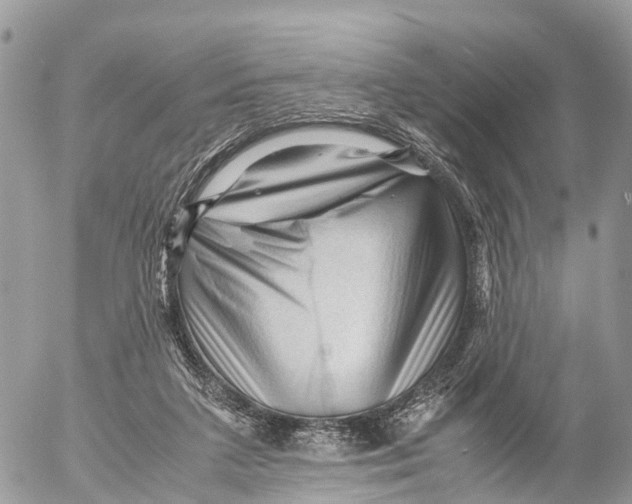 X0000053090211200508081319