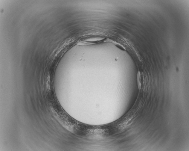 X0000053090212200508081319