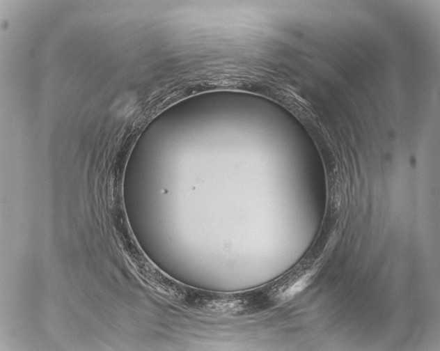 X0000053090213200508081319