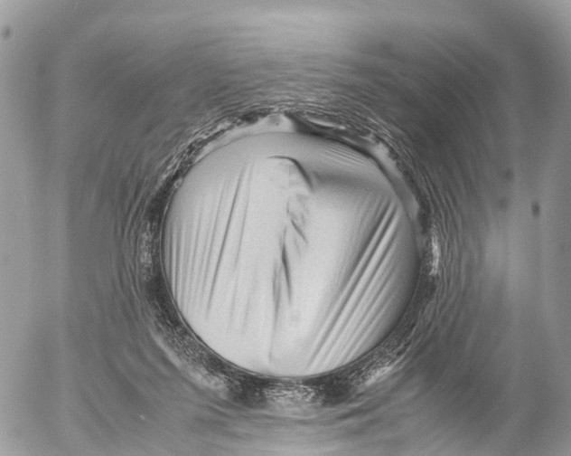 X0000053090215200508081319