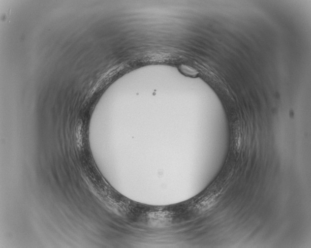 X0000053090216200508081319