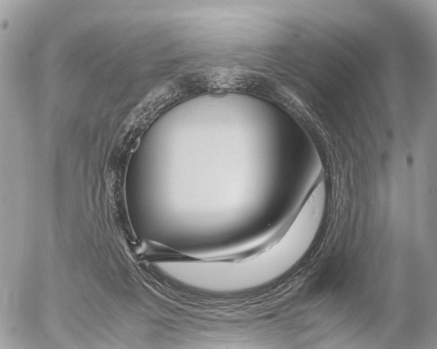 X0000053090217200508081319