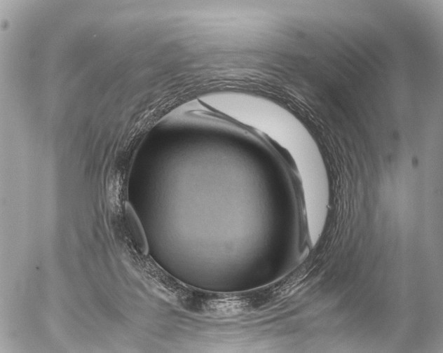 X0000053090219200508081319