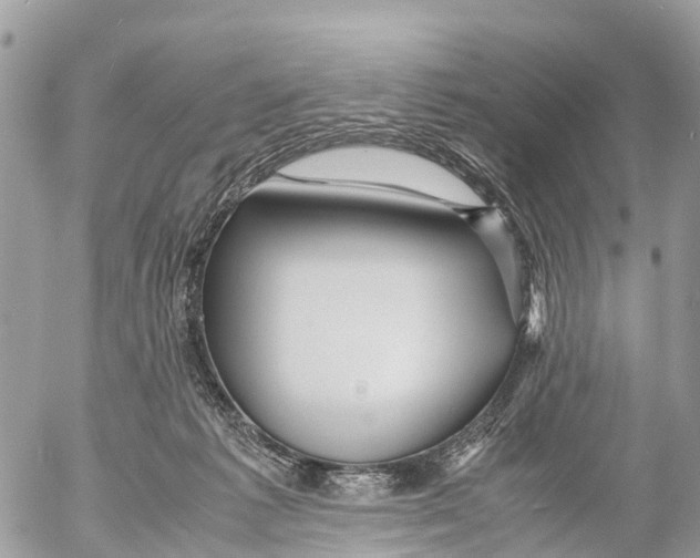 X0000053090221200508081319