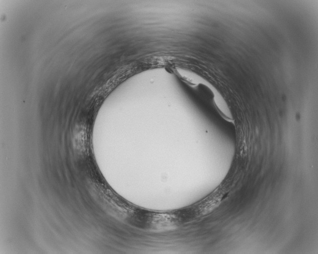 X0000053090222200508081319