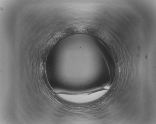 X0000053090223200508081319