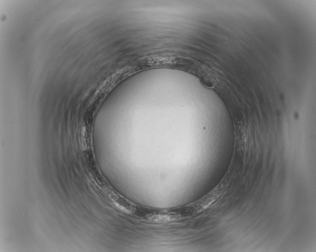 X0000053090224200508081319