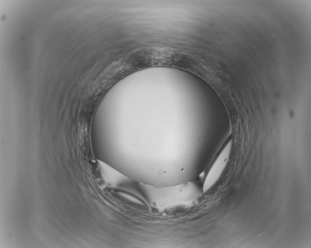 X0000053090225200508081319