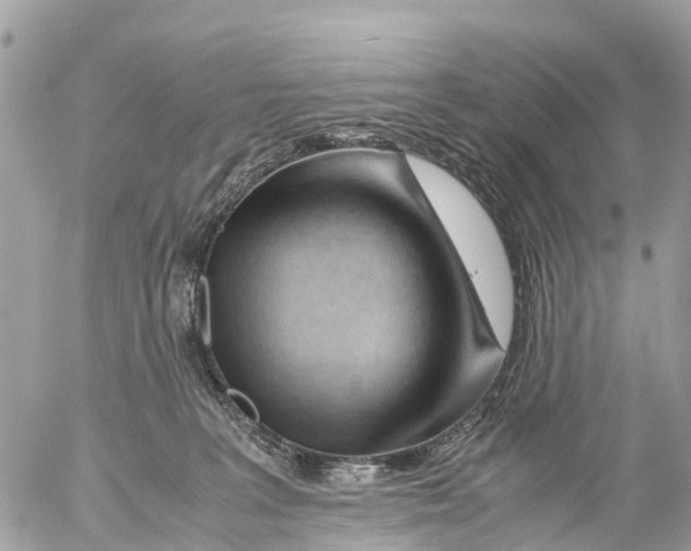 X0000053090227200508081319