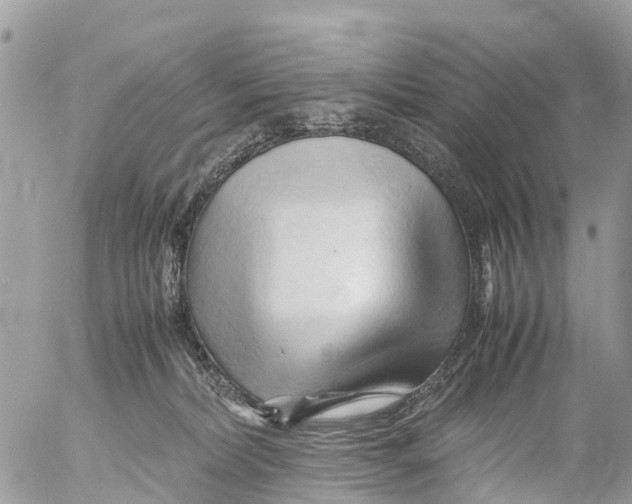 X0000053090228200508081319