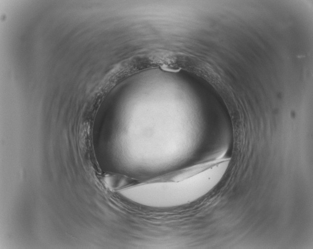 X0000053090229200508081319