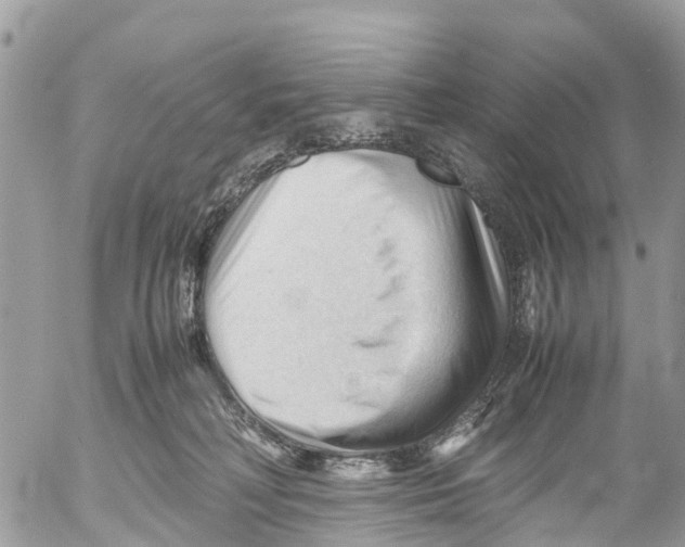 X0000053090230200508081319