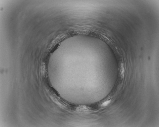 X0000053090231200508081319