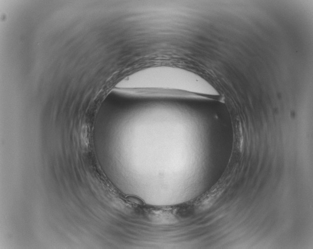 X0000053090232200508081319