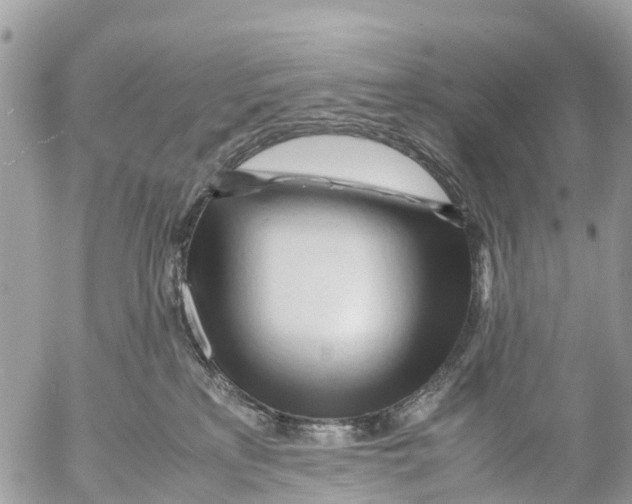 X0000053090233200508081319