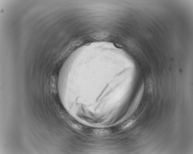 X0000053090234200508081319