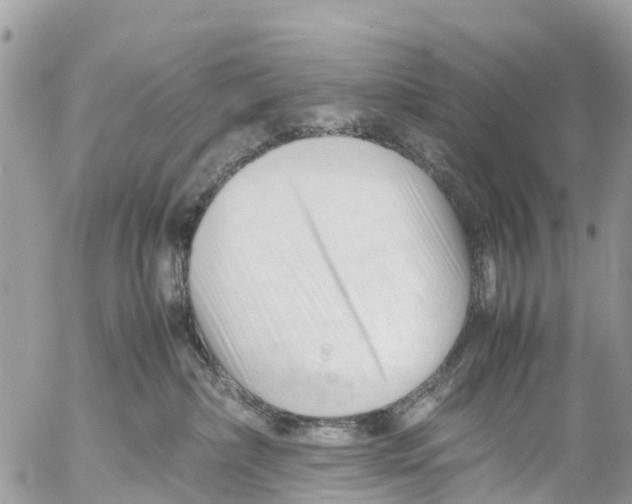 X0000053090236200508081319