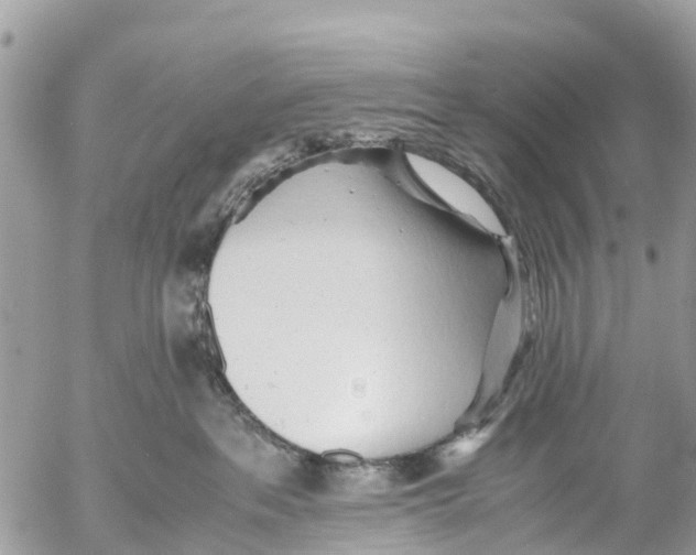 X0000053090237200508081319